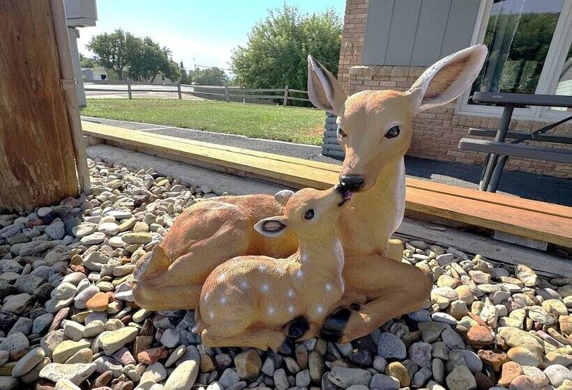 Deer Lodge Motel
