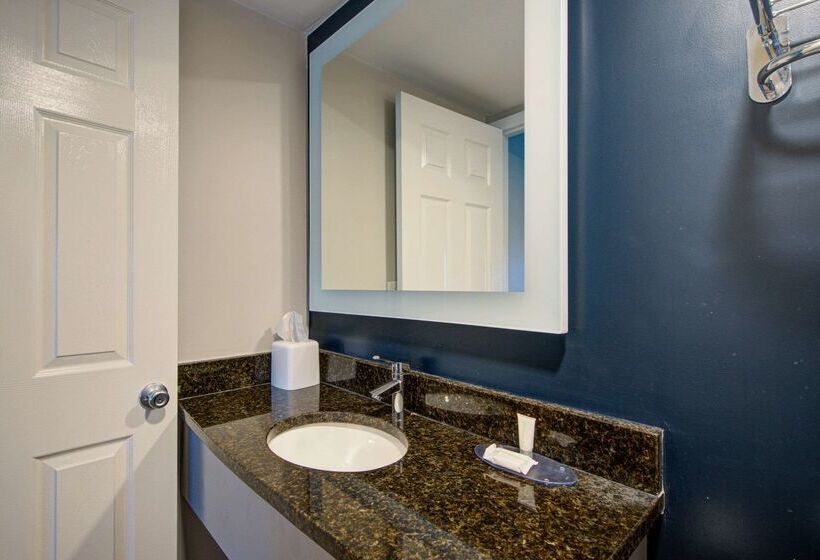 Otel Clarion Pointe Tampa Brandon Near Fairgrounds And Casino