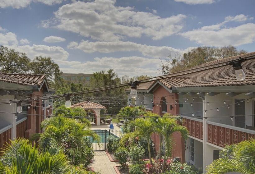 Otel Clarion Pointe Tampa Brandon Near Fairgrounds And Casino