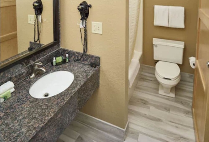 汽车旅馆 Livinn Hotel St Paul East / Maplewood