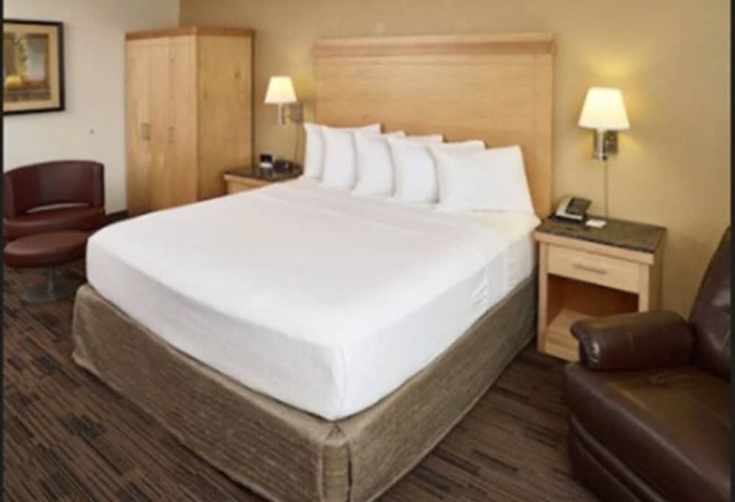 汽车旅馆 Livinn Hotel St Paul East / Maplewood