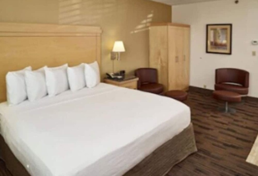 汽车旅馆 Livinn Hotel St Paul East / Maplewood