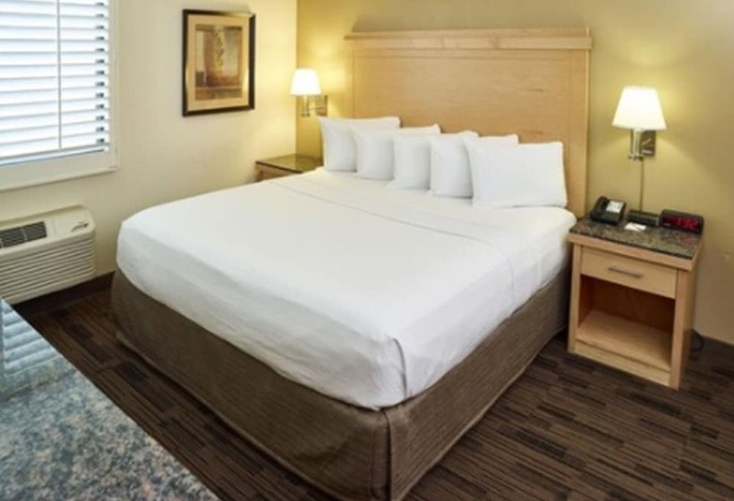 汽车旅馆 Livinn Hotel St Paul East / Maplewood