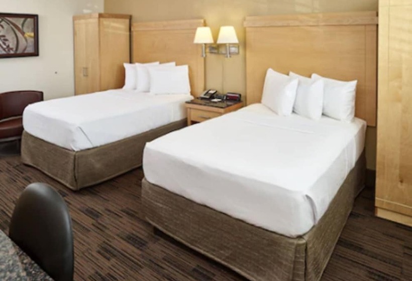 汽车旅馆 Livinn Hotel St Paul East / Maplewood