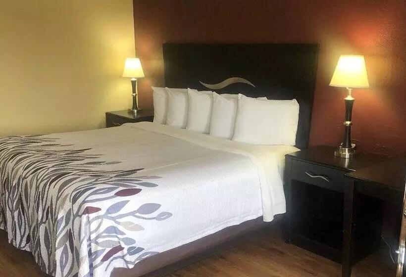 汽车旅馆 Red Roof Inn Berea