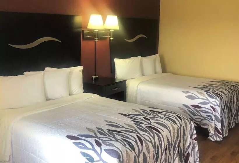 汽车旅馆 Red Roof Inn Berea