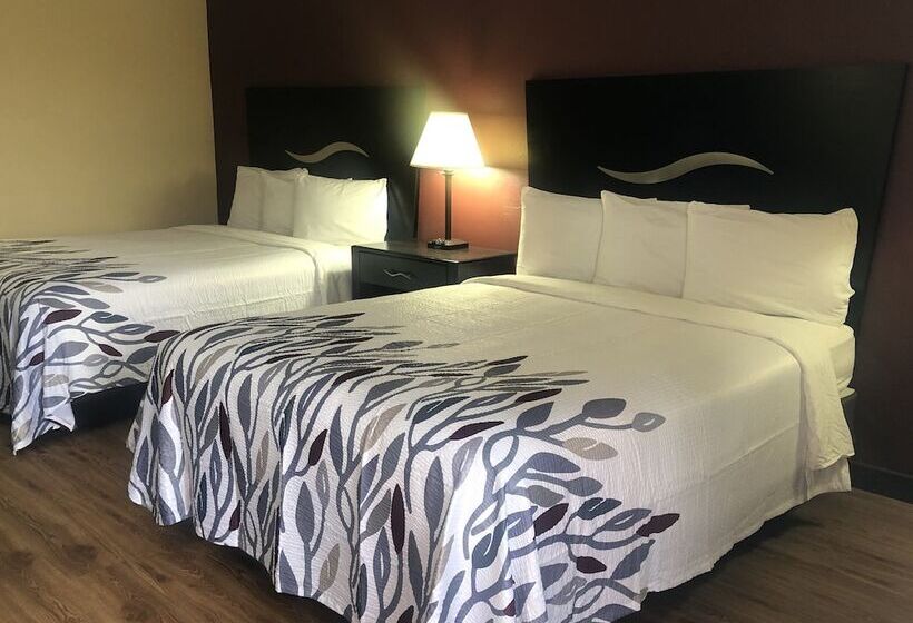 מוטל Red Roof Inn Berea