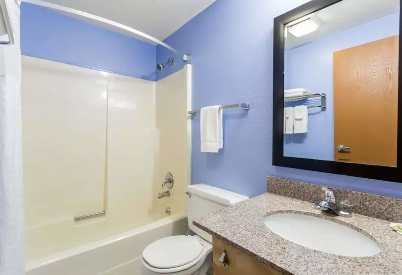 汽车旅馆 Super 8 By Wyndham Douglas