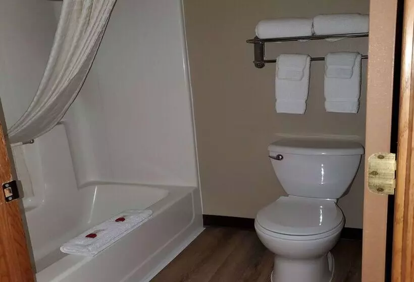 汽车旅馆 Super 8 By Wyndham Estherville