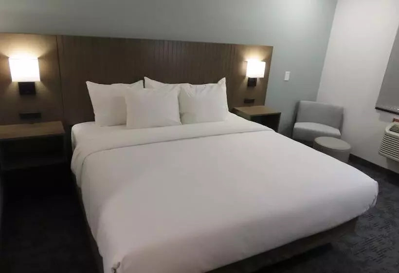 汽车旅馆  Best Western North Side Inn