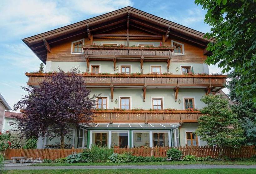 פנסיון Mörtbauerhof & Haus Frühauf