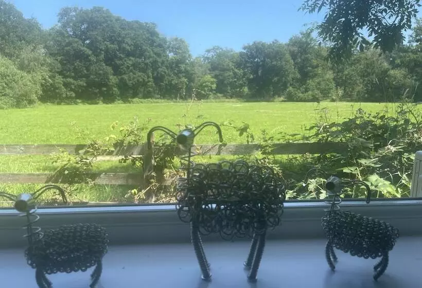 Retkeilymaja Village Limits Bed And Breakfast Rooms