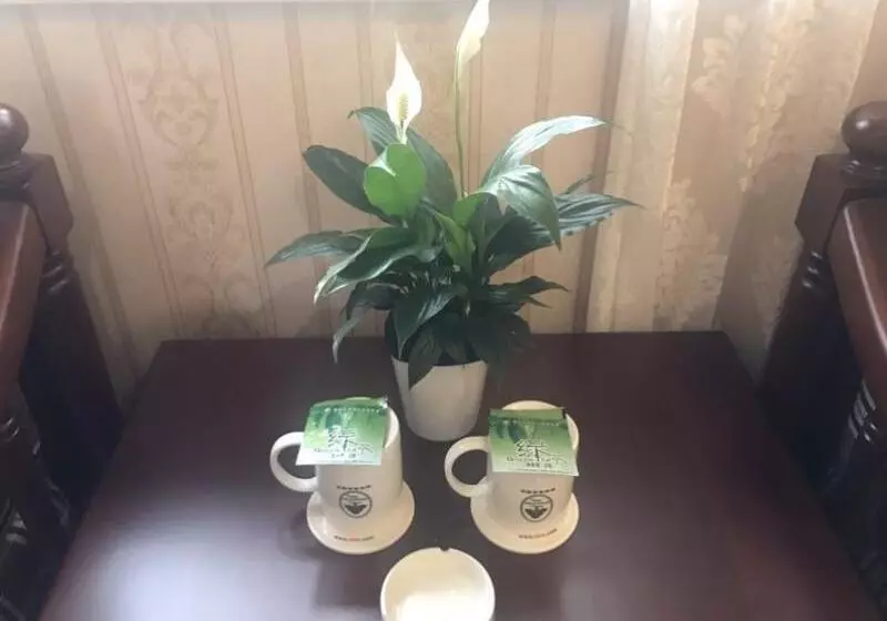 Hotelli Greentree Inn Ziyang Lezhi Government Tianchi Town Express