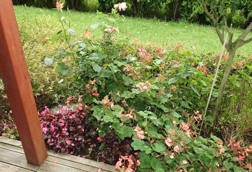 Kauri Lodge Karapiro