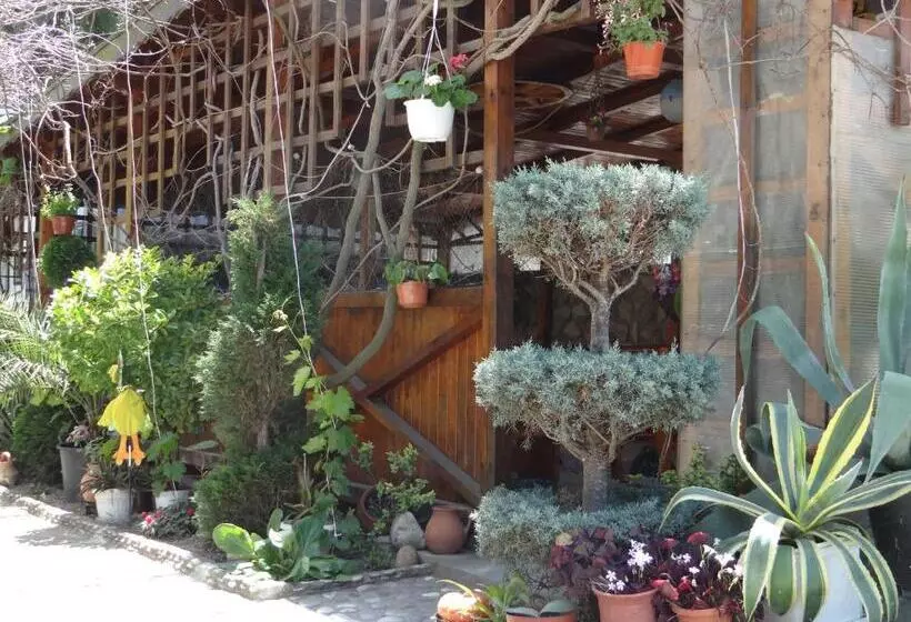 ペンション Guest House Rusalka