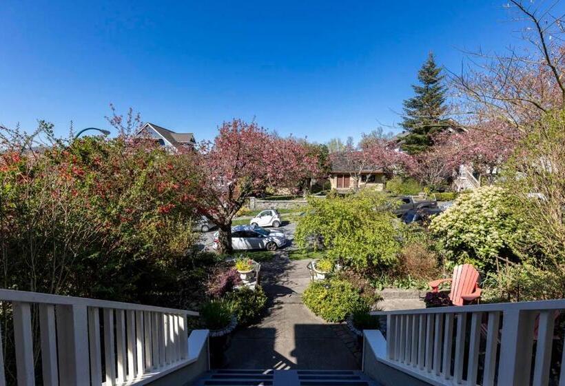 ペンション The Ivy On Parker Guest House