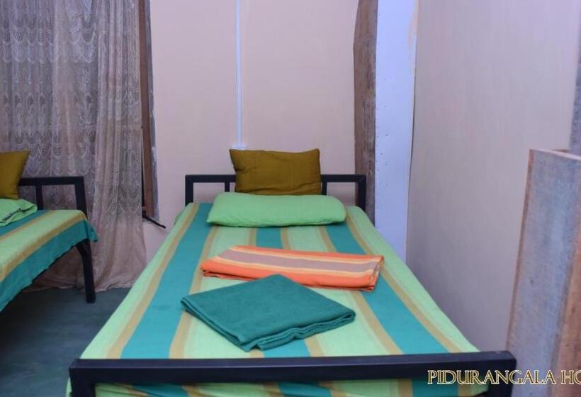 Pidurangala Hostel