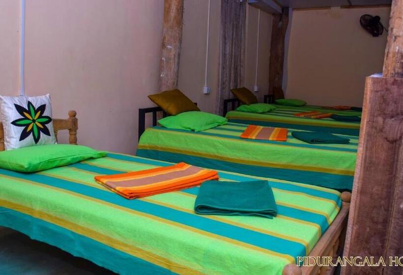 Pidurangala Hostel