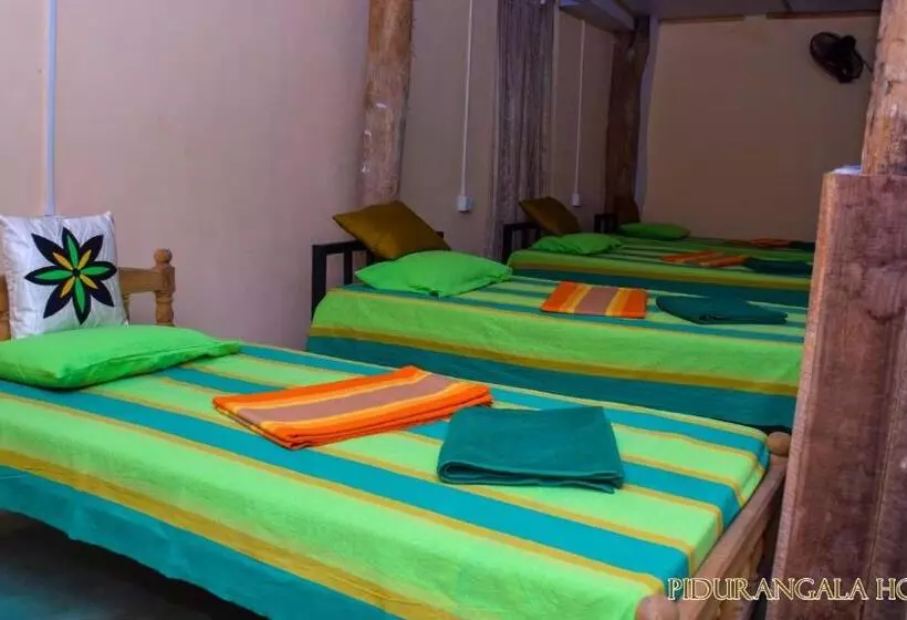 Pidurangala Hostel