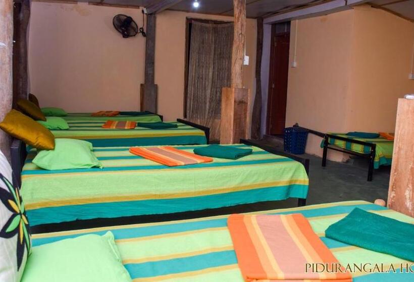 Pidurangala Hostel