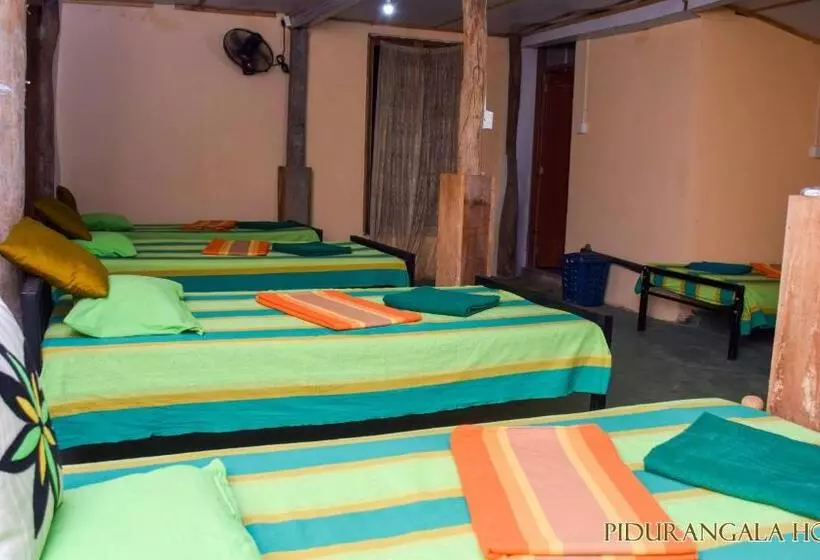 Pidurangala Hostel