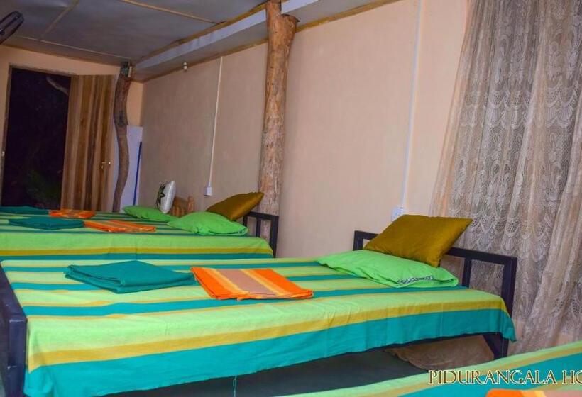 Pidurangala Hostel