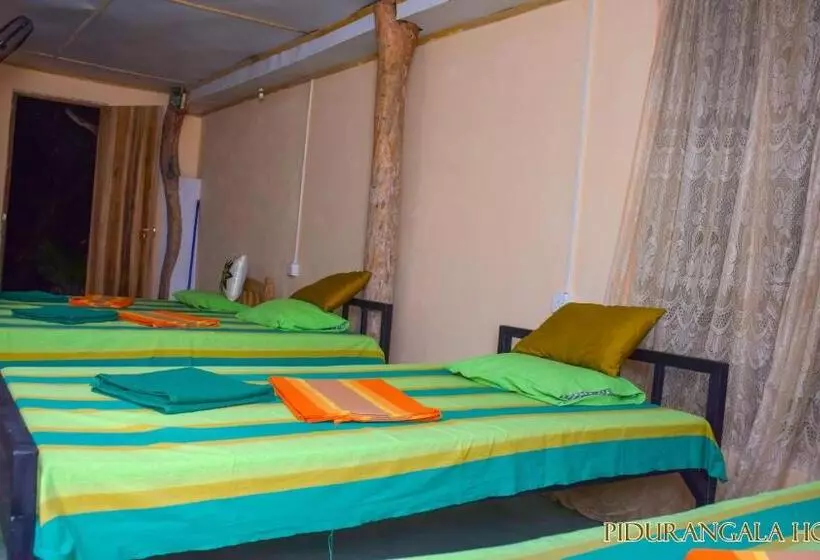 Pidurangala Hostel