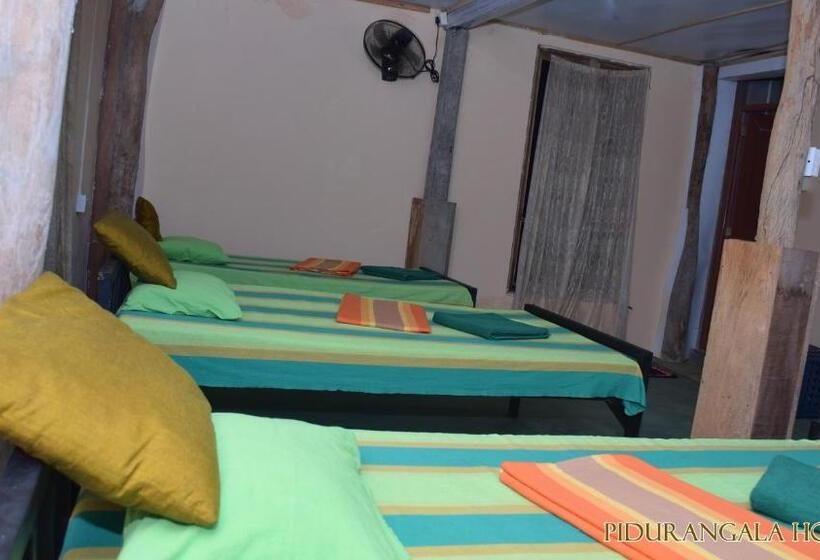 Pidurangala Hostel