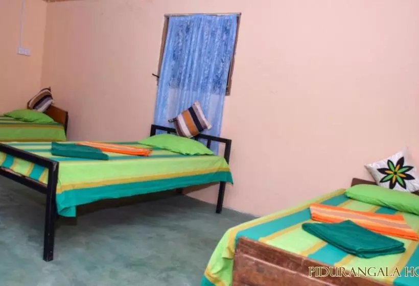 Pidurangala Hostel