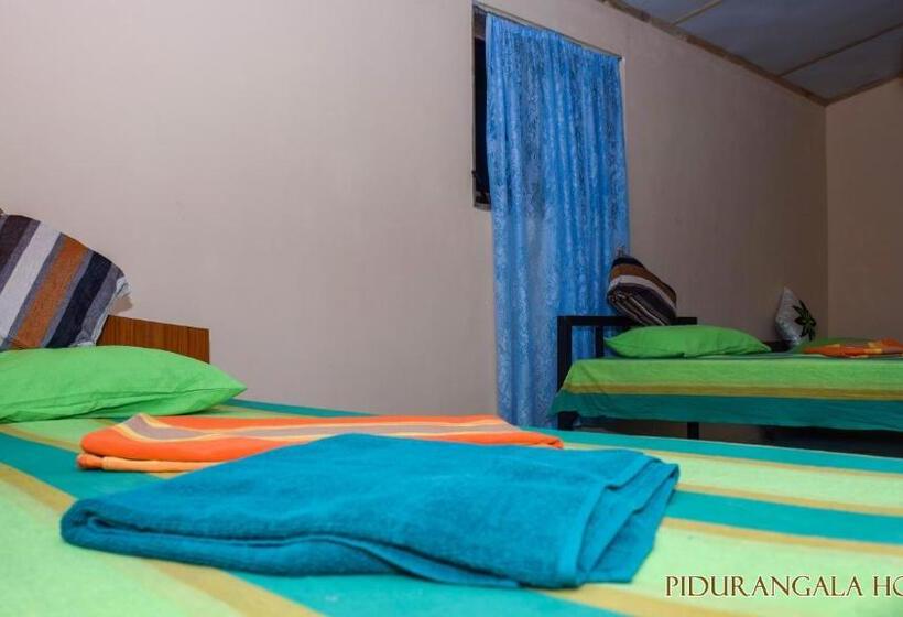 Pidurangala Hostel