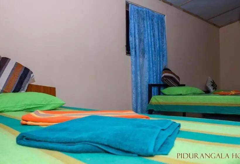 Pidurangala Hostel