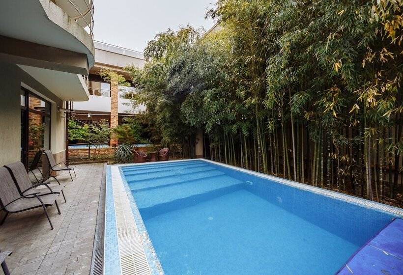 בית מלון כפרי Bliss House