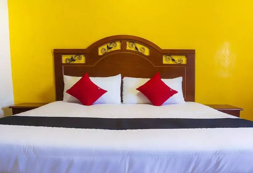 هتل Capital O Del Valle, Tecamachalco