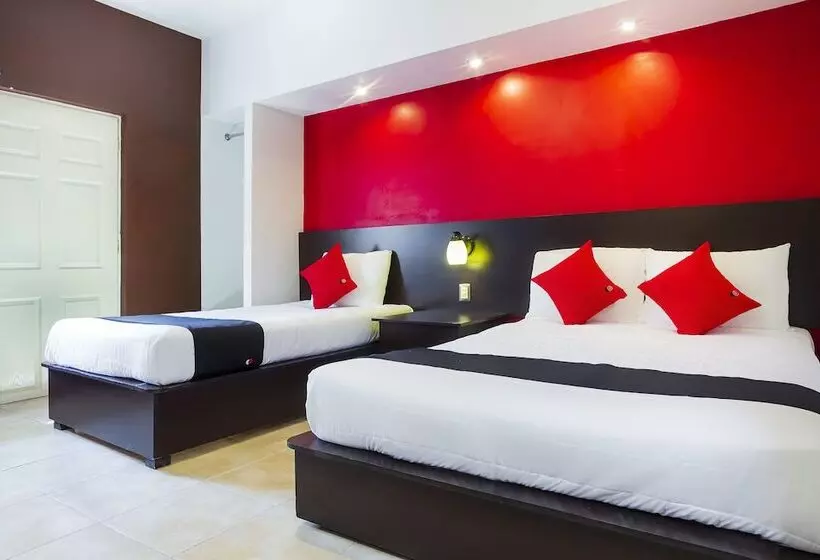 هتل Capital O Del Valle, Tecamachalco