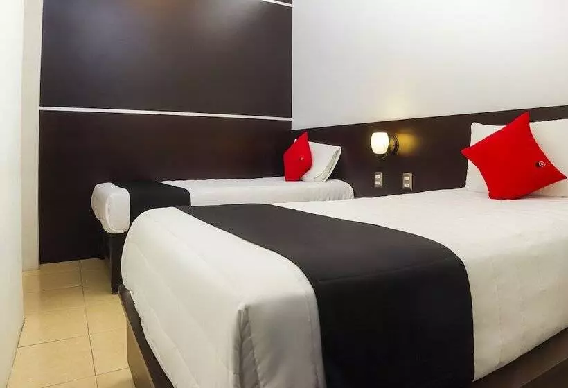 هتل Capital O Del Valle, Tecamachalco