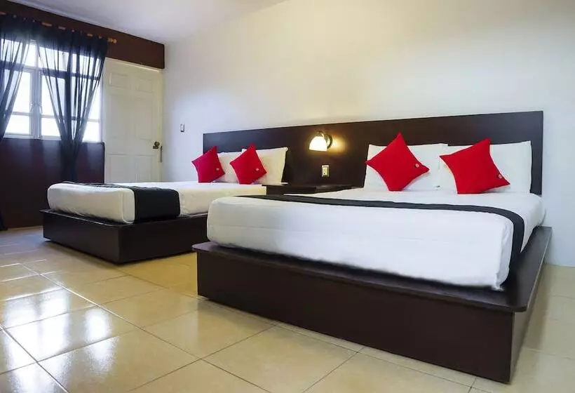 هتل Capital O Del Valle, Tecamachalco