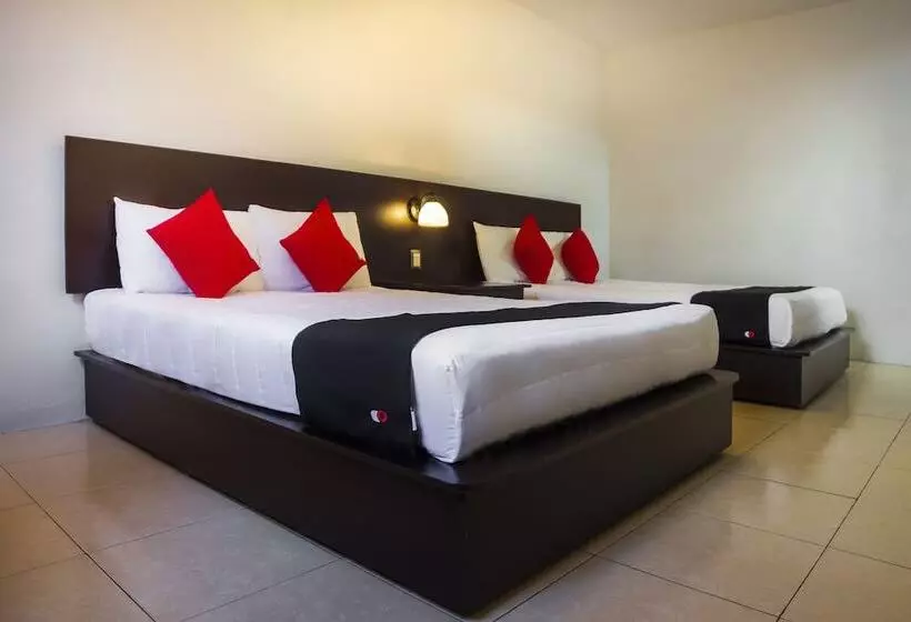 هتل Capital O Del Valle, Tecamachalco