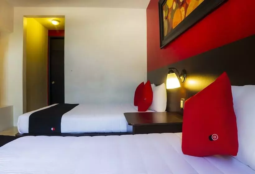 هتل Capital O Del Valle, Tecamachalco