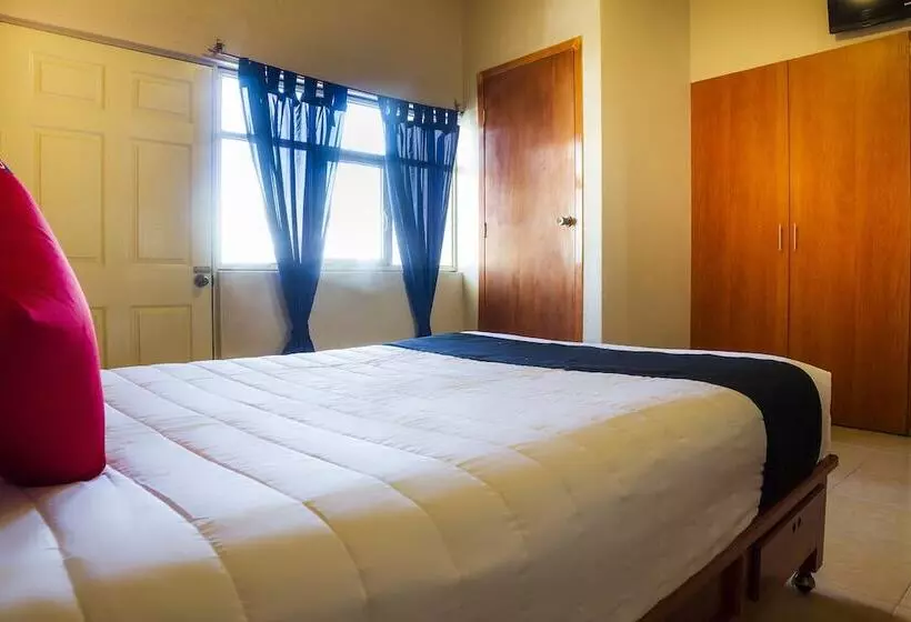 هتل Capital O Del Valle, Tecamachalco