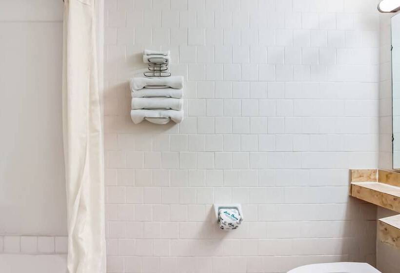 Motel Alice Tx Hwy 281 West