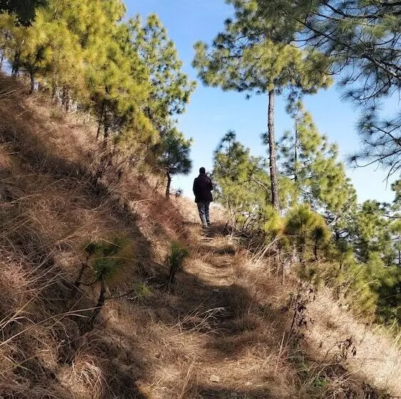 Majatalo Tgv Escape Kanatal