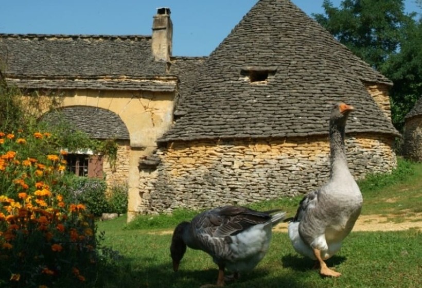 Domaine De La Rigaudie Gite Les Morilles