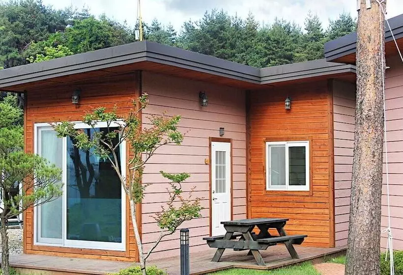 Gangneung Way To Gyeongpodae Pension