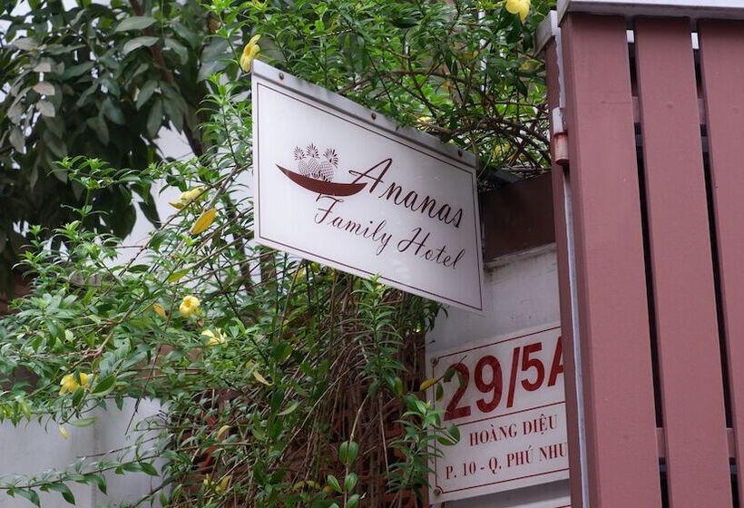 هتل Ananas Family