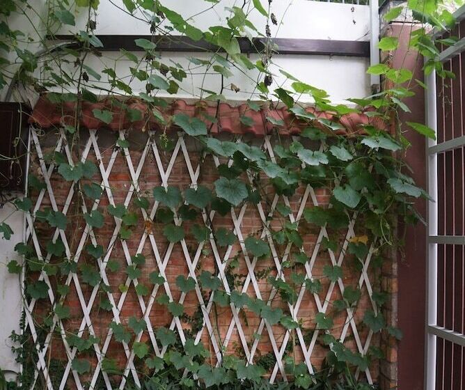 هتل Ananas Family