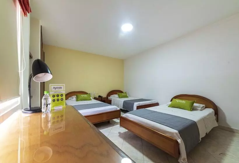 ホテル Ayenda 1502 Principe