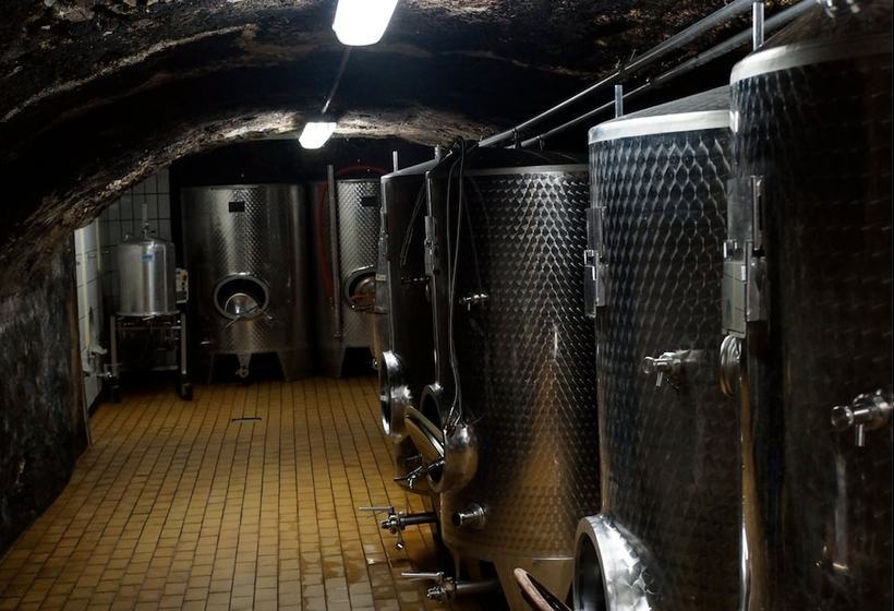 Hotelli Classisches Weingut Hoffranzen