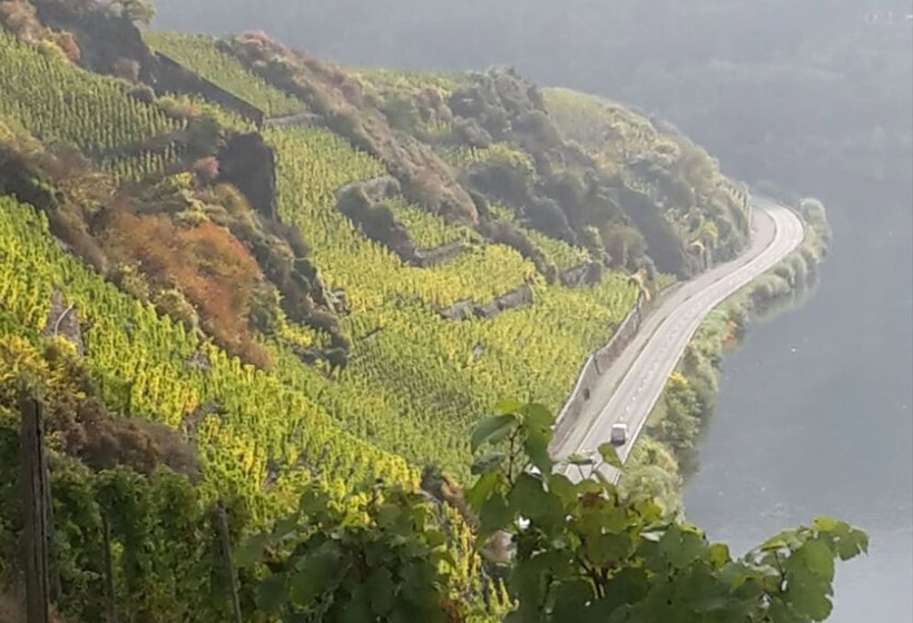 Hotelli Classisches Weingut Hoffranzen