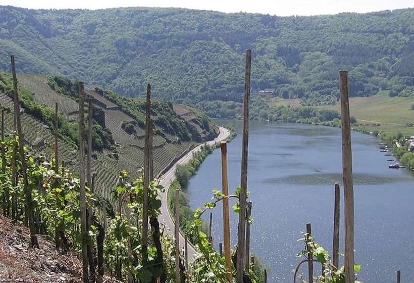 Hotelli Classisches Weingut Hoffranzen