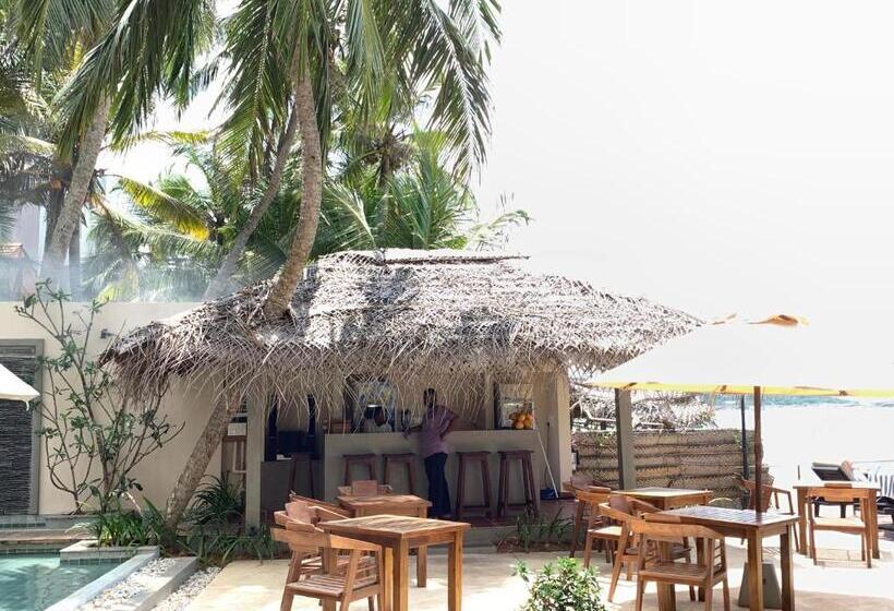 酒店 Sapphire Seas Beachfront